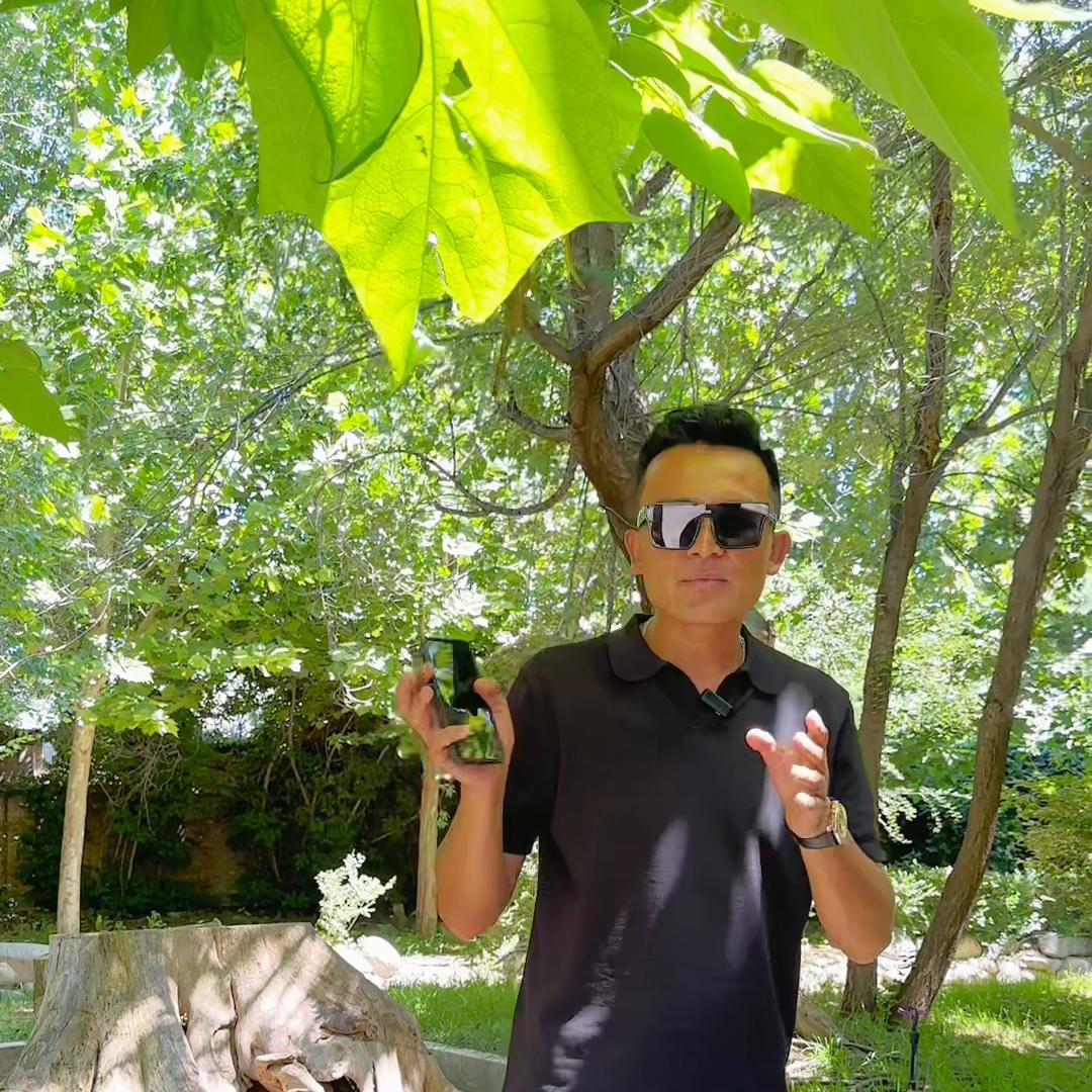 全疆二手车,全疆最便宜二手车