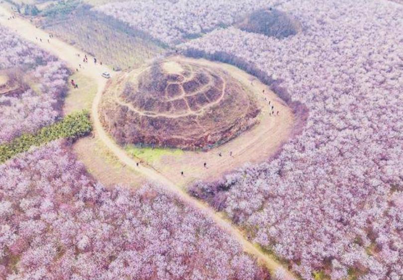 西安桃花观赏最佳地点,西安桃花潭公园桃花什么时候开