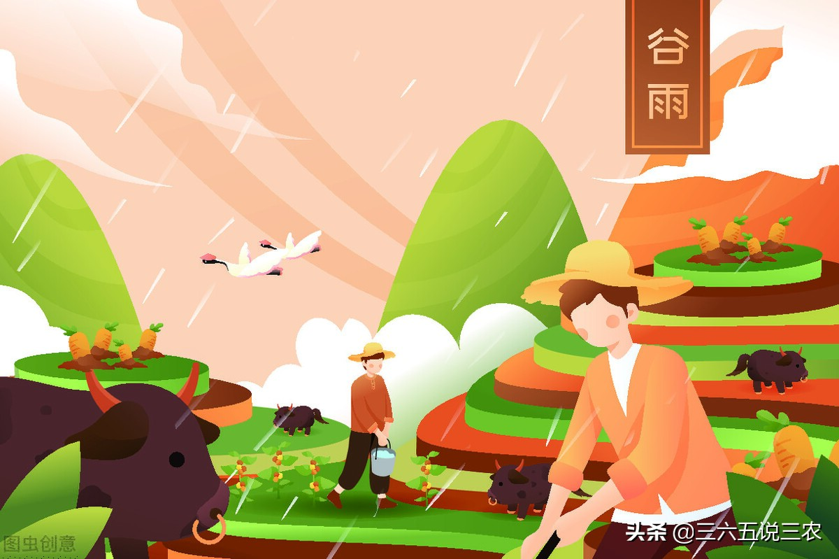 谷雨天气预报什么意思,今日天气预报问候语