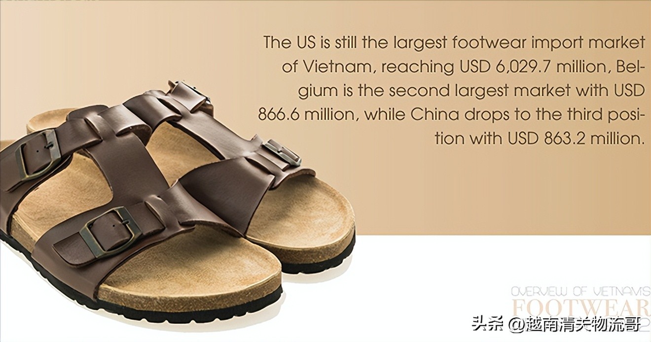 2022年越南制鞋业概述