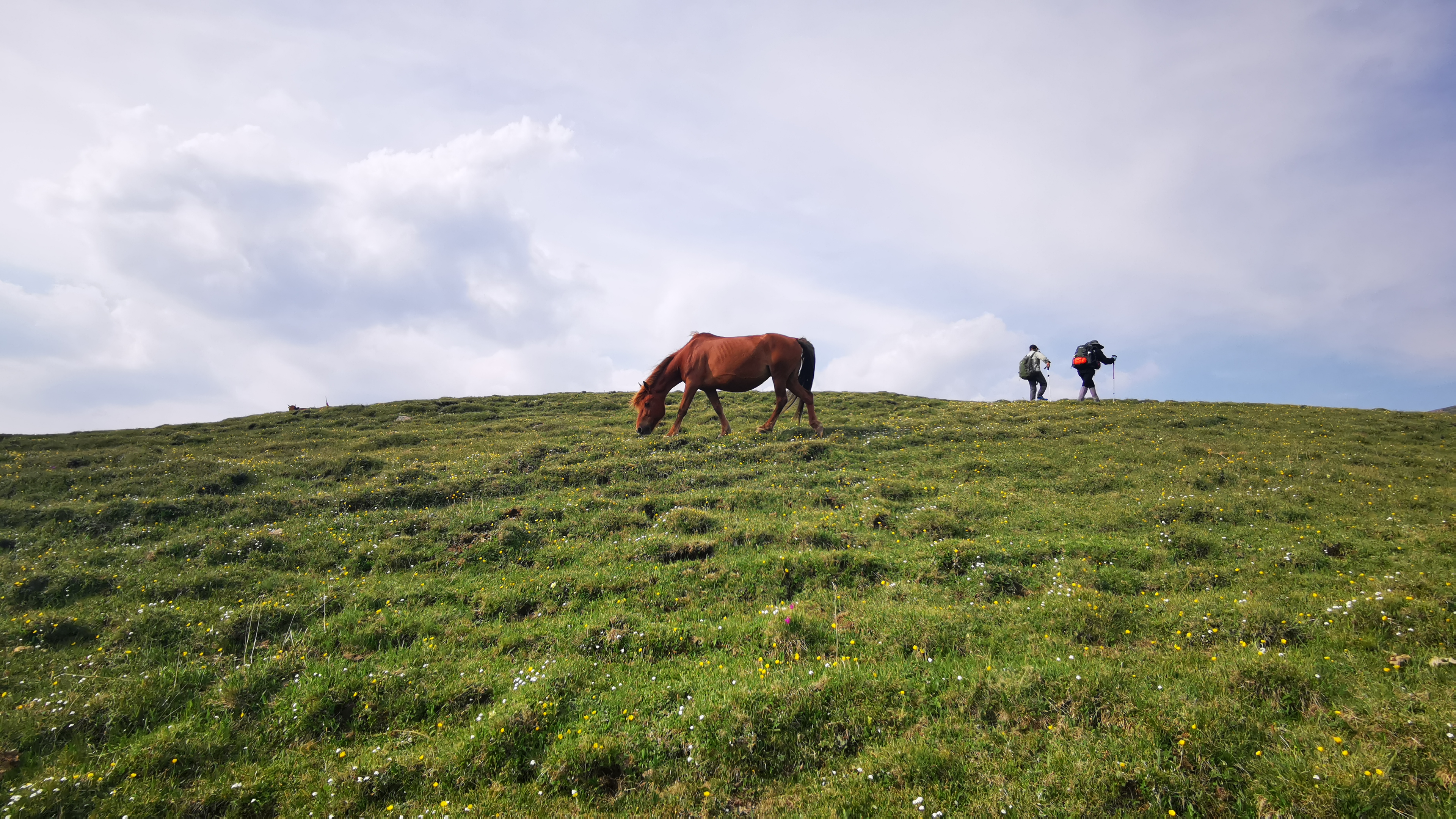 端午节五台山三日大五朝台第二天（西台-中台-插旗台-澡浴池）