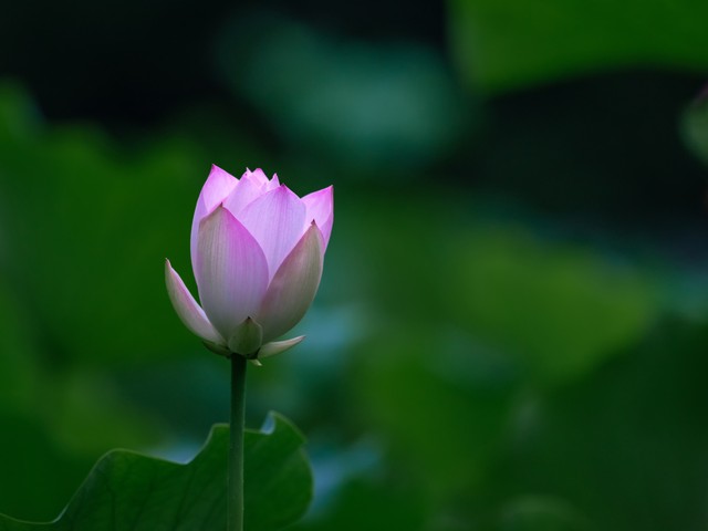 今天“火离日”不一般，老话“离日三不做，福禄自然来”，不做啥