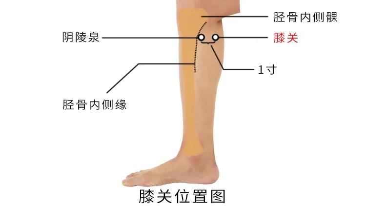 膝五针治疗什么,膝关节痛三针疗法