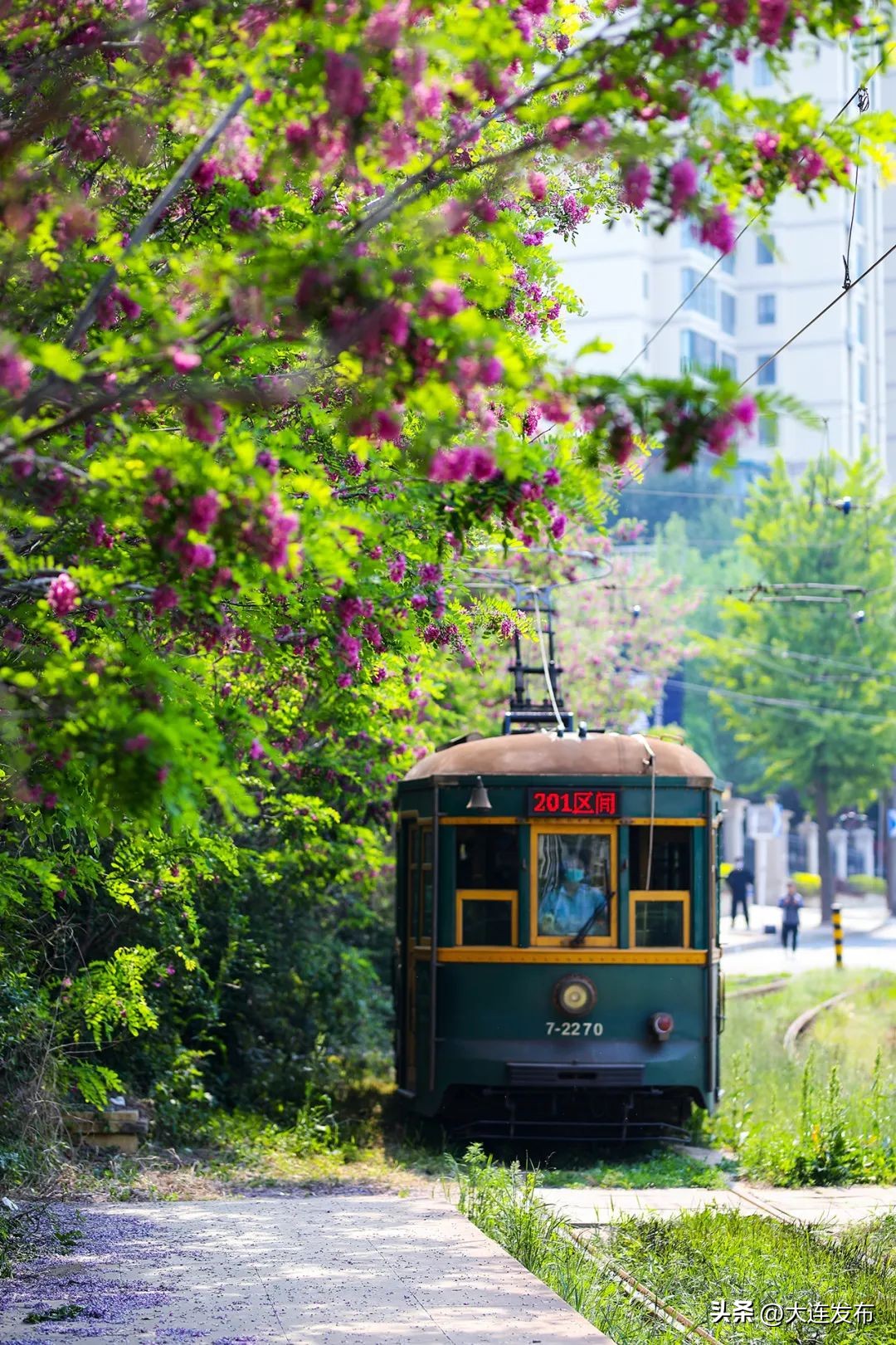 大连中山区打卡的景点,大连值得去的景点推荐