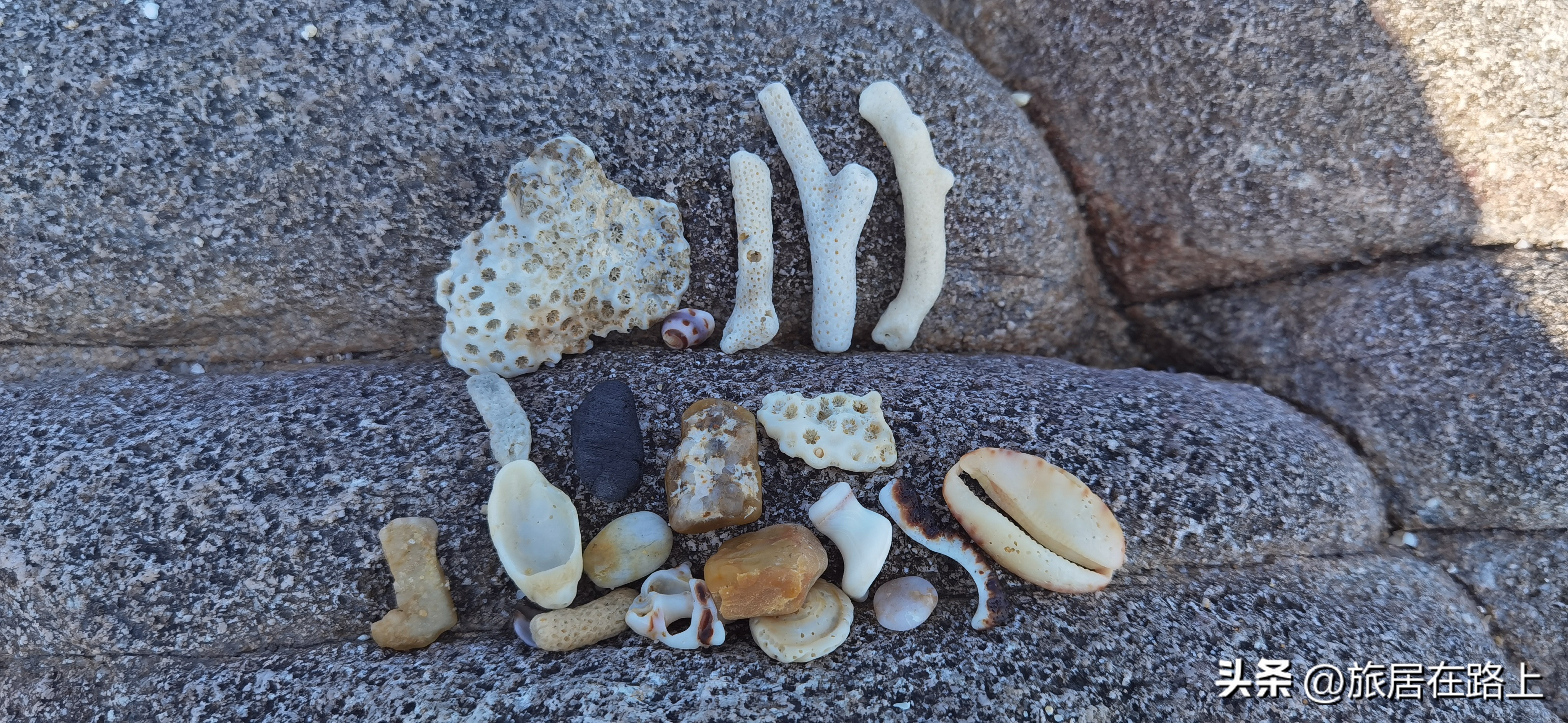 棋子湾上的仙人掌,海南棋子湾旅游攻略一日游