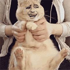 元宇宙建筑用什么建模,元宇宙建筑3维模型