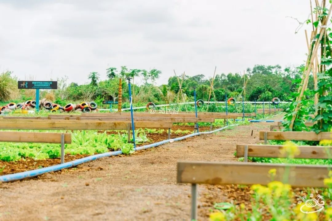 六一去哪里玩最好市区,六一温江遛娃好去处