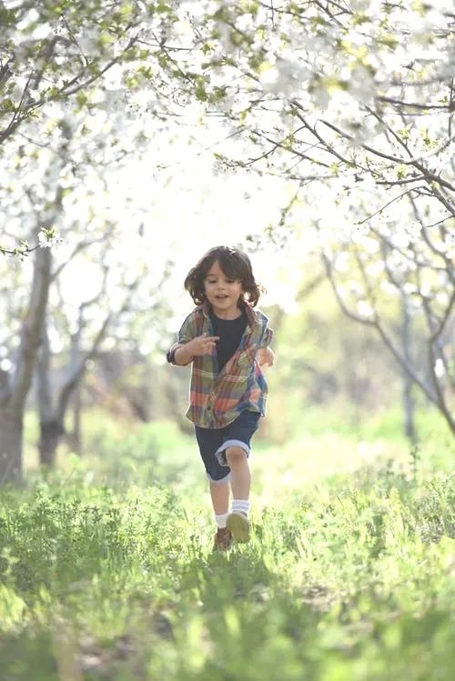 辫豆思维逻辑课怎么样,辫豆haba思维课学费
