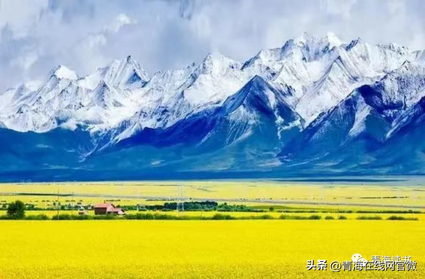 闈掓捣涔嬫梾璁板繂,璁板繂鏃呰闈掓捣