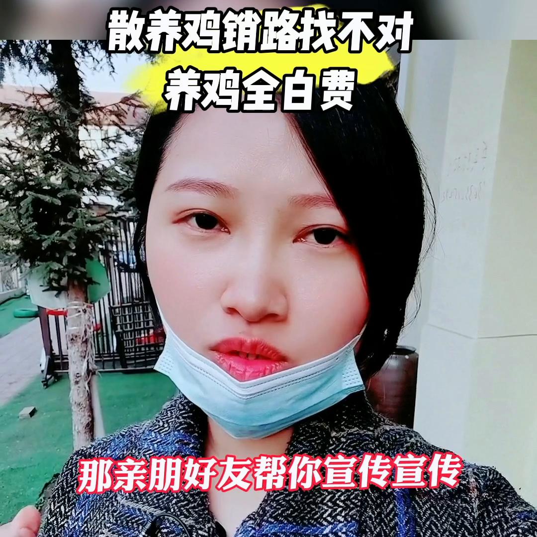 养土鸡短视频,养土鸡的销路视频