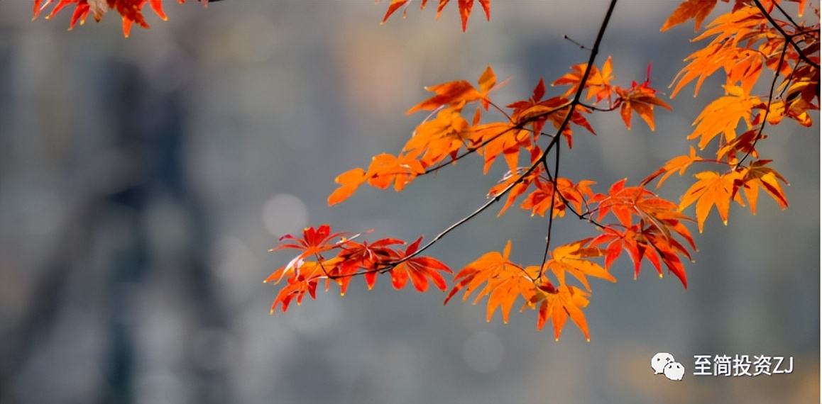 期货孟德稳谈日内入场点,期货操作技巧在线学习