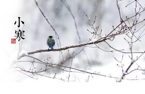 小寒节气祝福图片动态图,小寒节气温馨祝福语图片