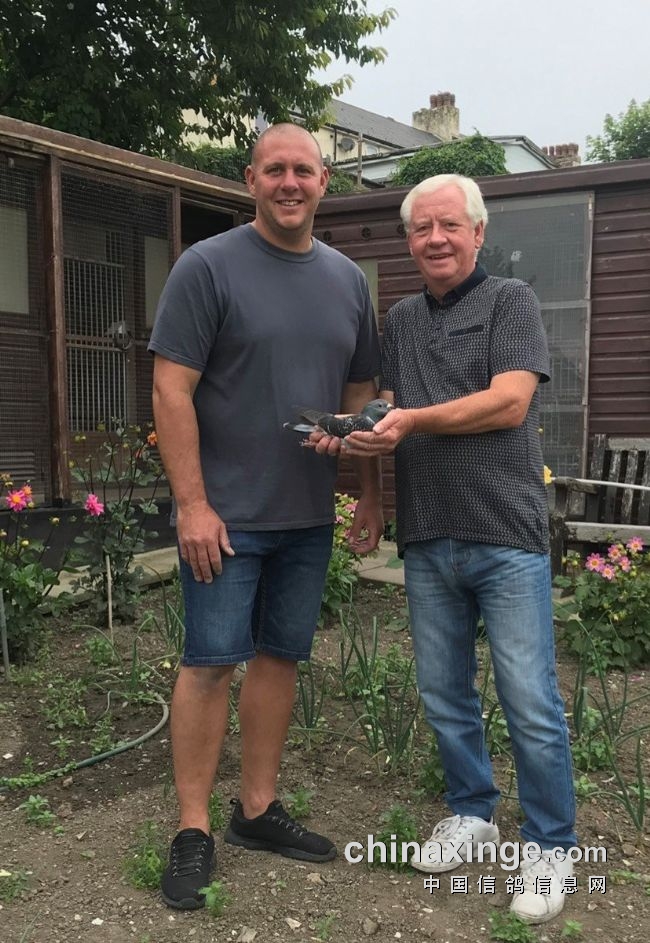 雌雄分装每笼限18羽欧洲多国波城长距离上线