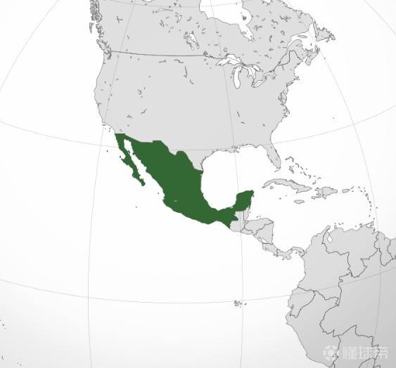 世界杯巡礼之卡塔尔,世界杯巡礼之巴西