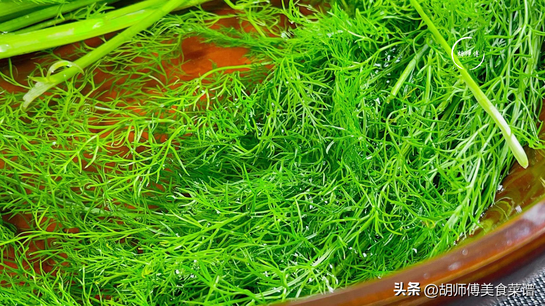 家常养胃菜,养胃家常菜素炒