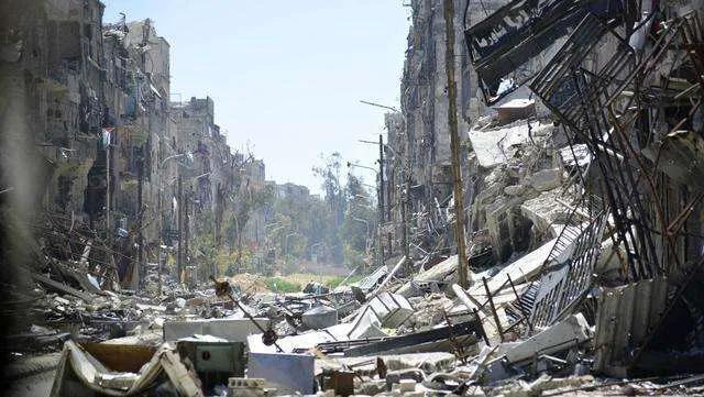 乌克兰如何解决粮食问题,乌克兰应该怎么化解危机