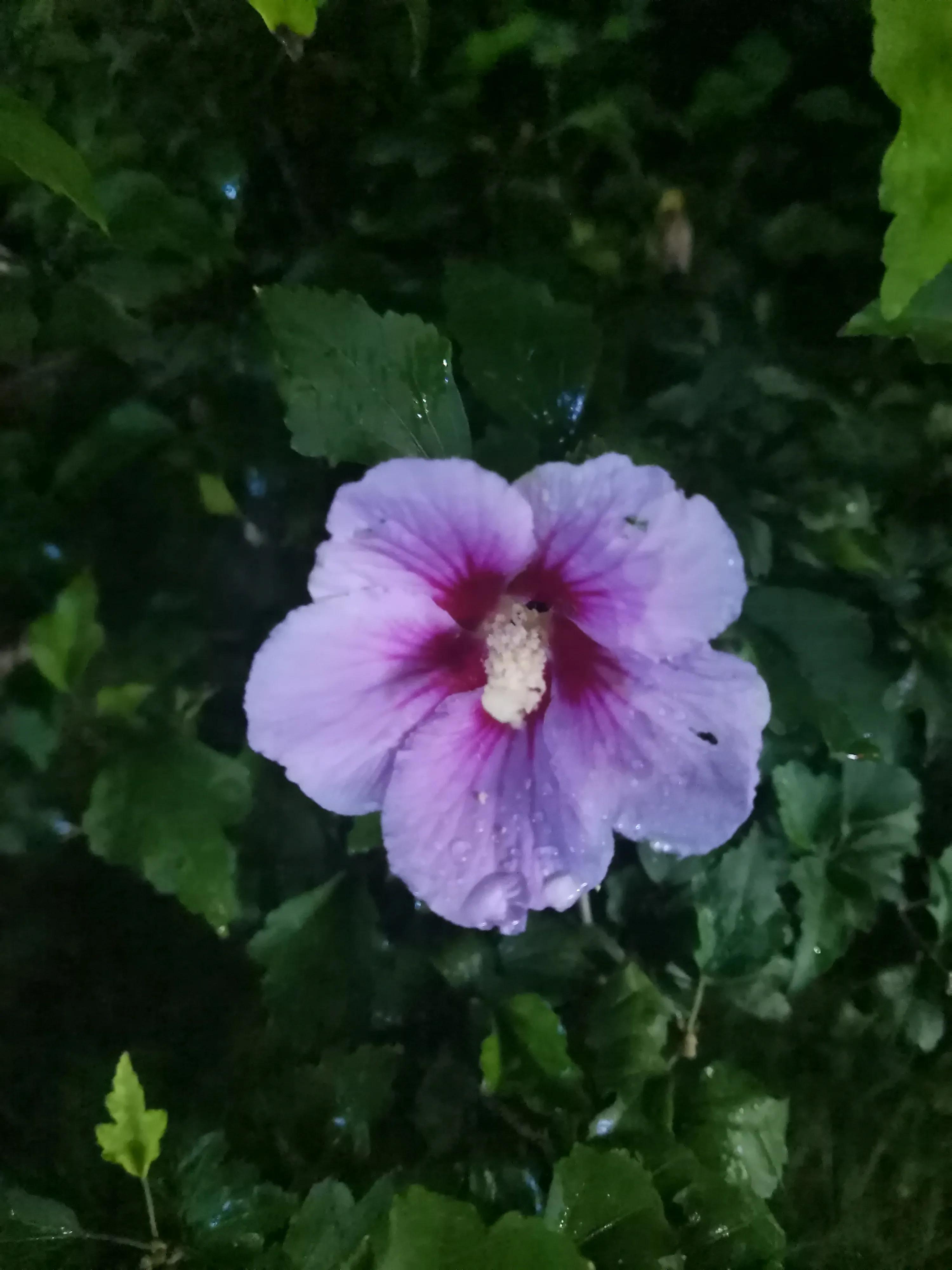 有禅意的楹联,隐居的五言楹联