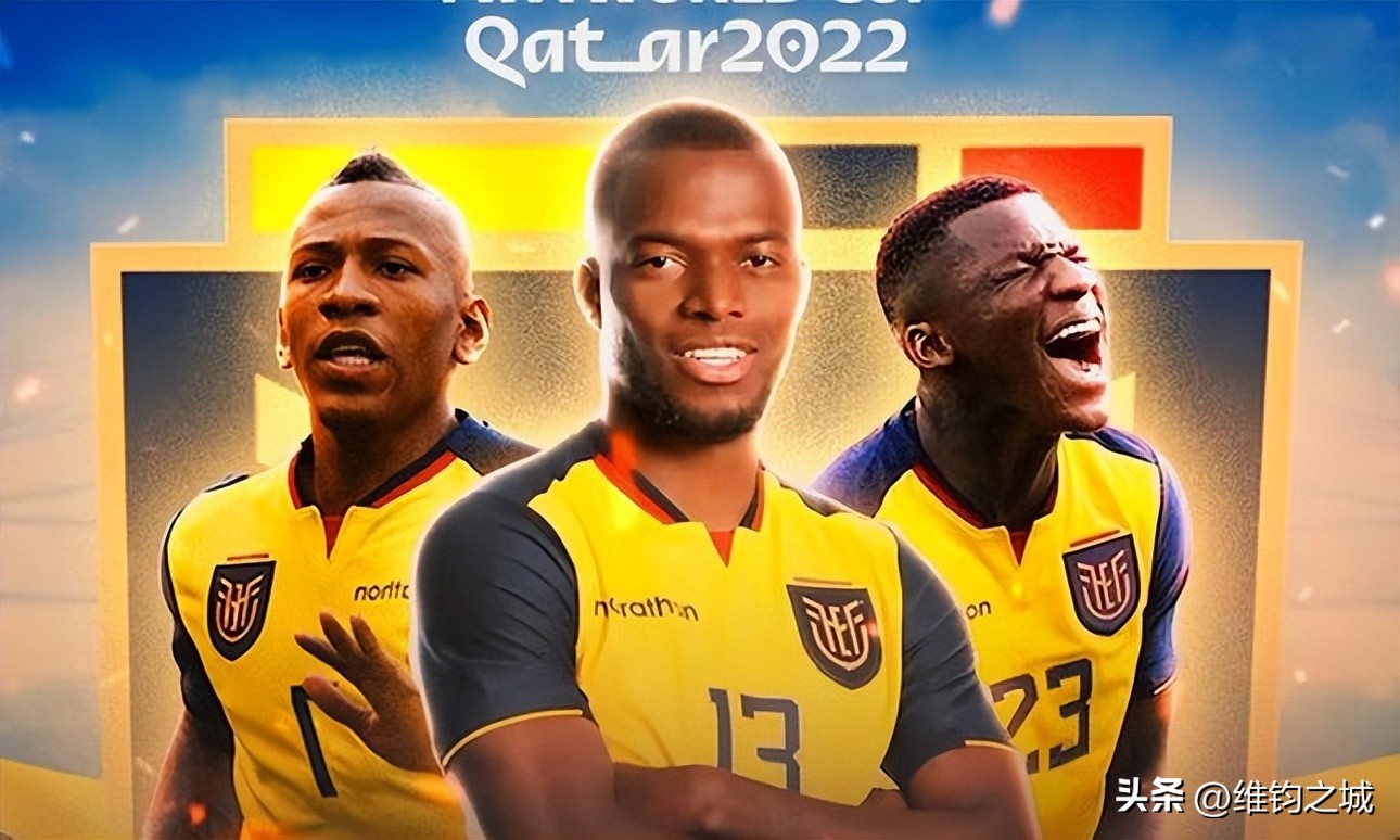 2022卡塔尔世界杯预选赛厄瓜多尔,2022卡塔尔世界杯决赛争议