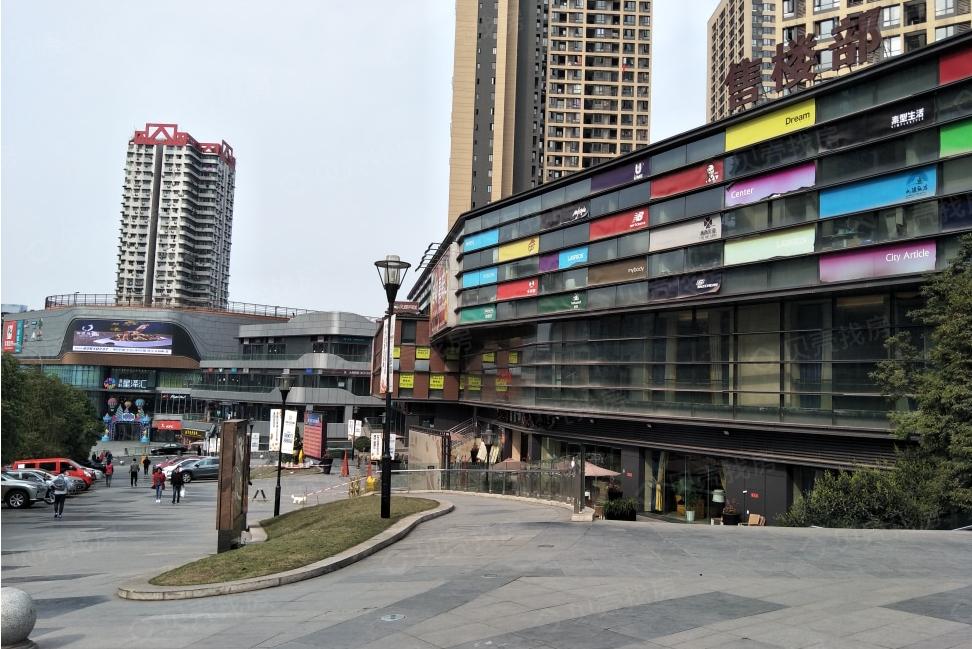 新牌坊巴蜀常春藤,新牌坊正大德善学校巴蜀常春藤