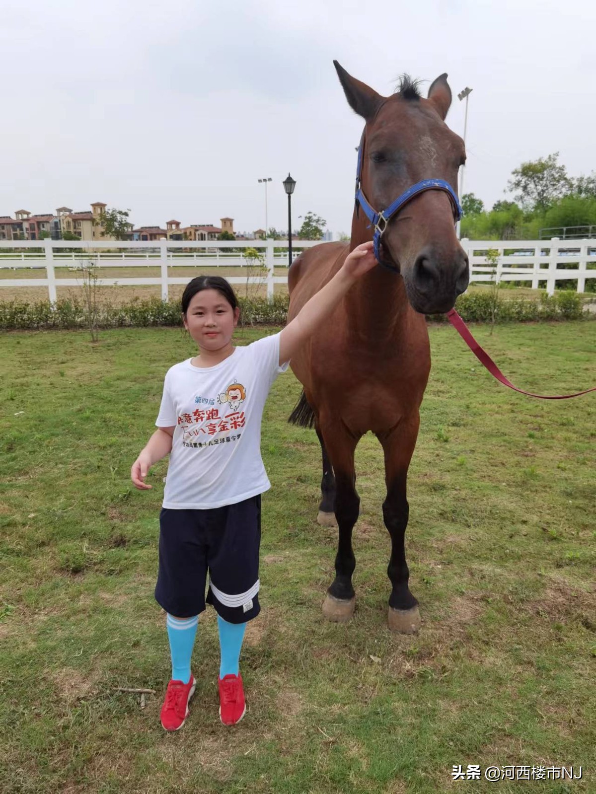 金地商置2018年,金地夏令营