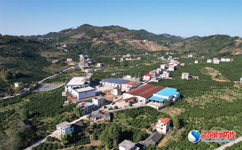 新宁龙丰果业,新宁县月汉村脐橙文化