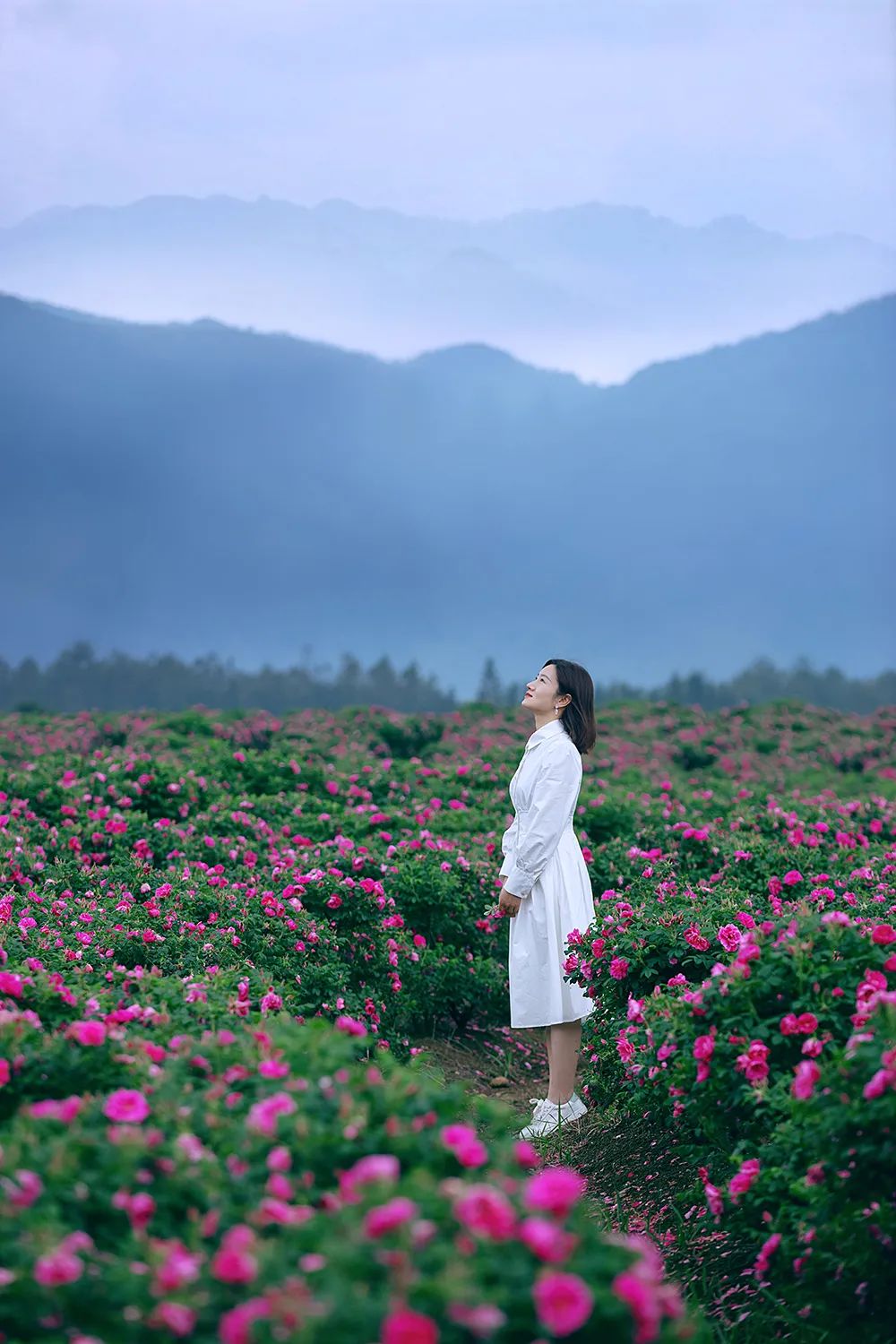 5·19幸福旅程从保山开始丨五一游腾冲,绝美栖花岭:天空之伞+千亩花海+粉色沙滩+福利