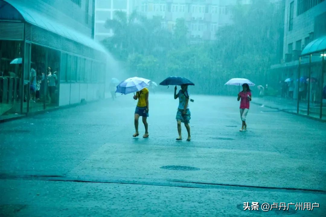 20年拍下150万张“东莞女工”在国外爆火：中国制造，不可思议！