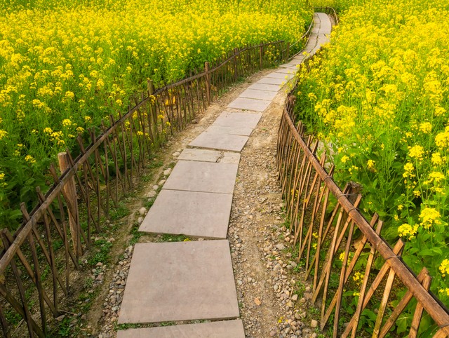 那年我好奇寄出了一封信，没想到收获了一段三十多年姐妹情缘