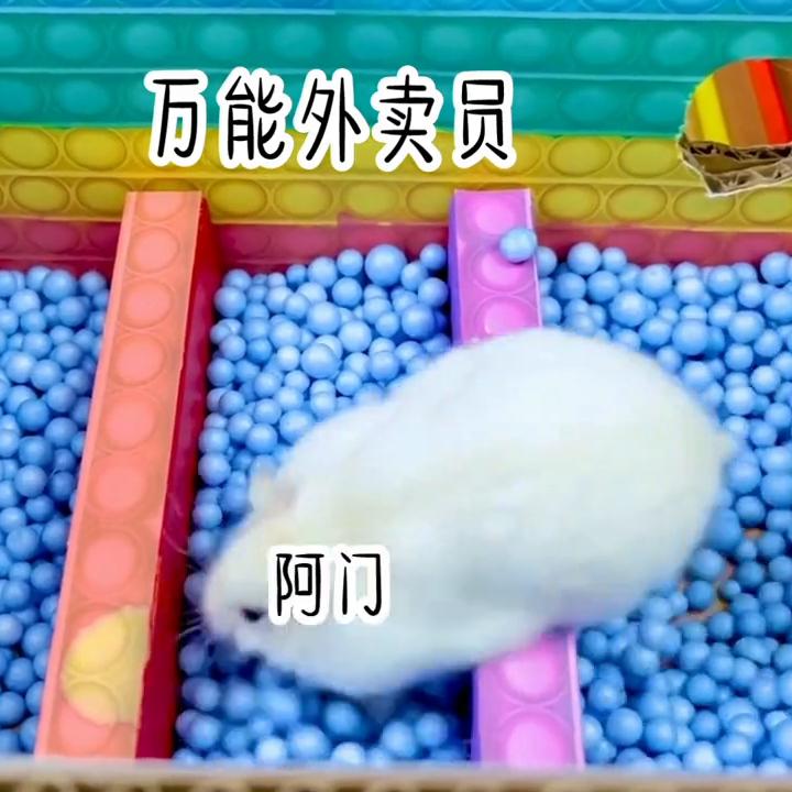 点赞评论关注精彩不断,关注点赞每日分享热门小说