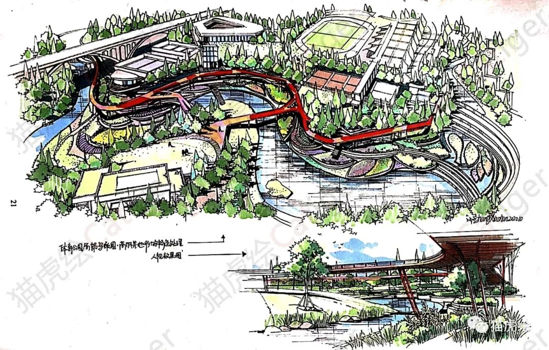 2022猫虎绘暑假手绘班招生简章「线上+线下」