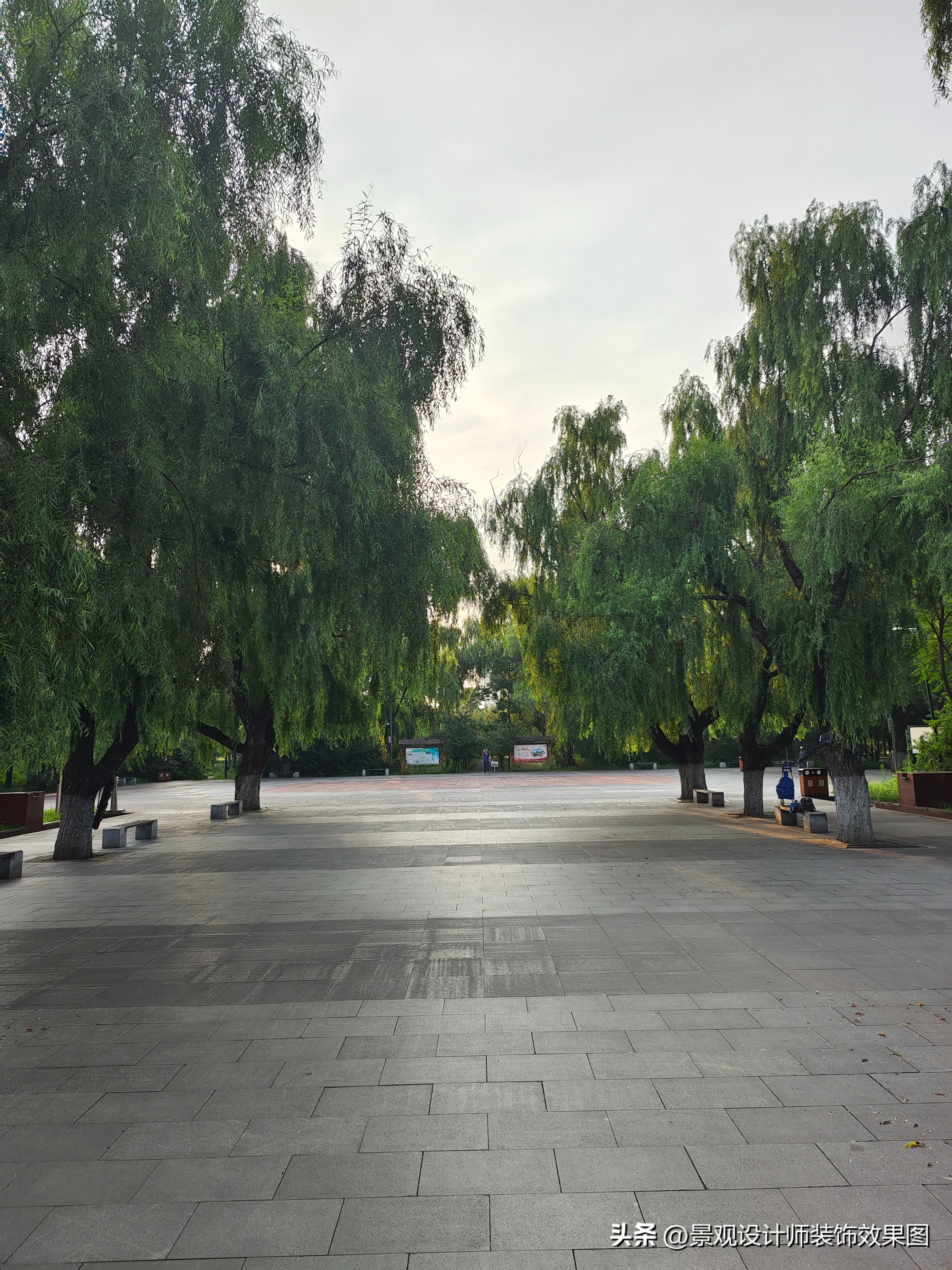 沈阳青年公园所在地,沈阳青年公园