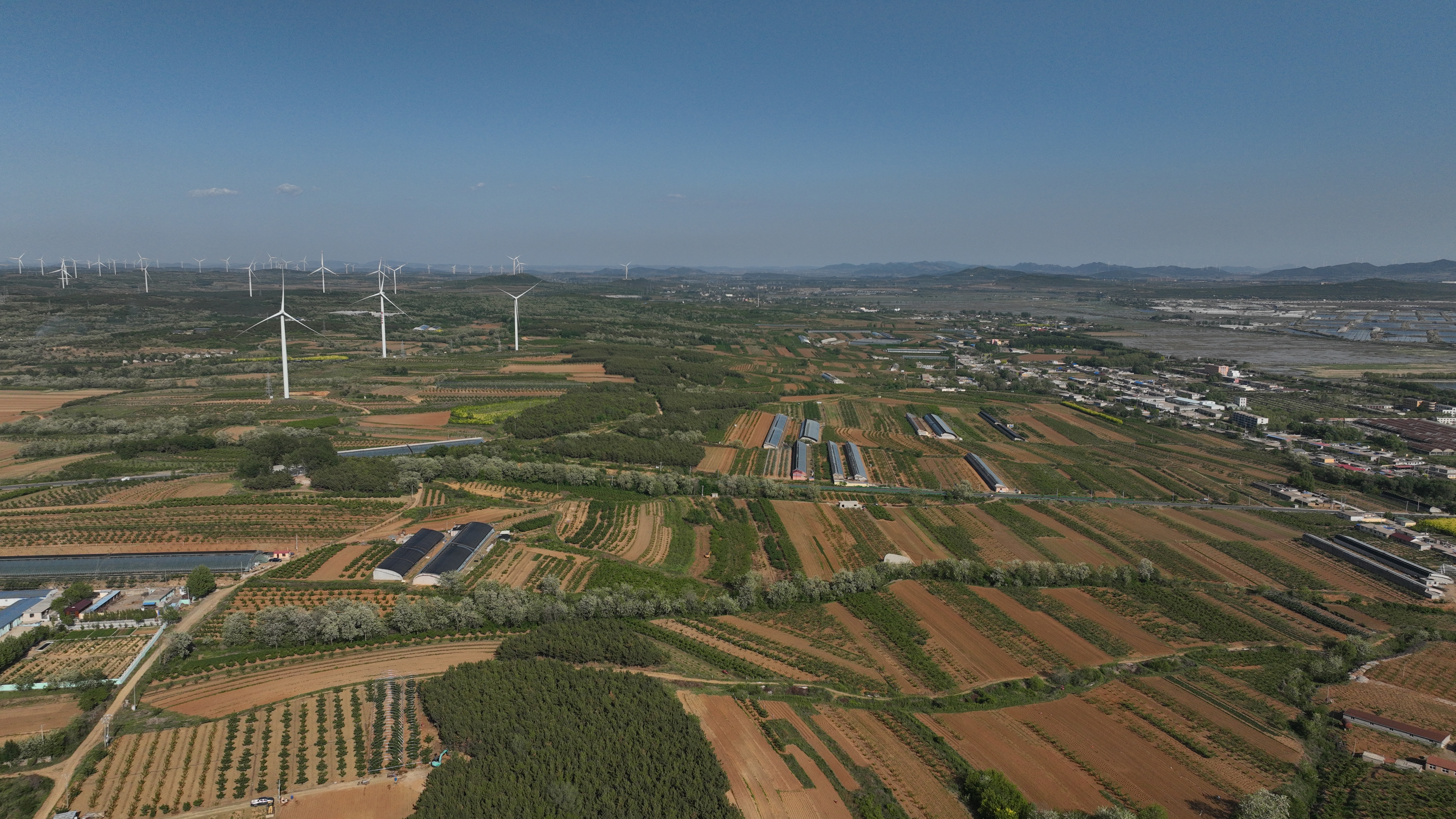 大连仙浴湾村,石洼村党建引领助推美丽乡村建设