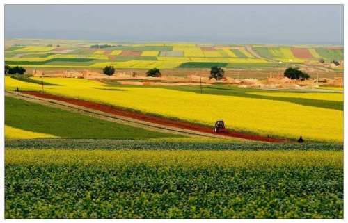斯里兰卡国家破产民众怎么办,破产的国家斯里兰卡