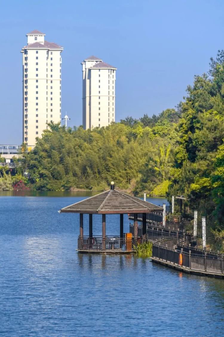 聚龙小镇：离城不离尘的心灵