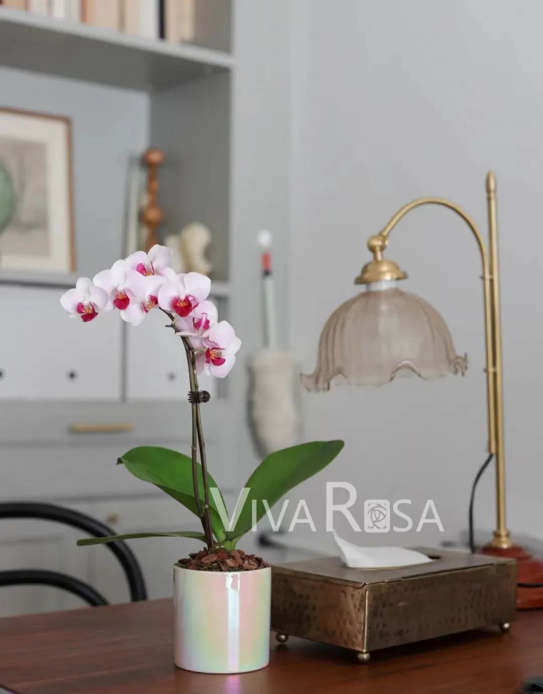 那些没说出口的话就留在心里,那些没说出口的话就藏在心里吧