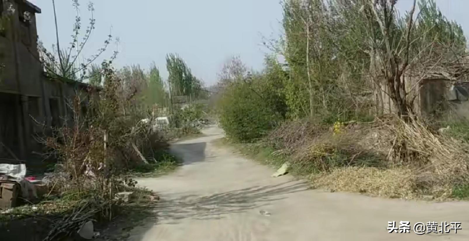 枣庄陶瓷一厂老照片,枣庄陶瓷三厂以后规划