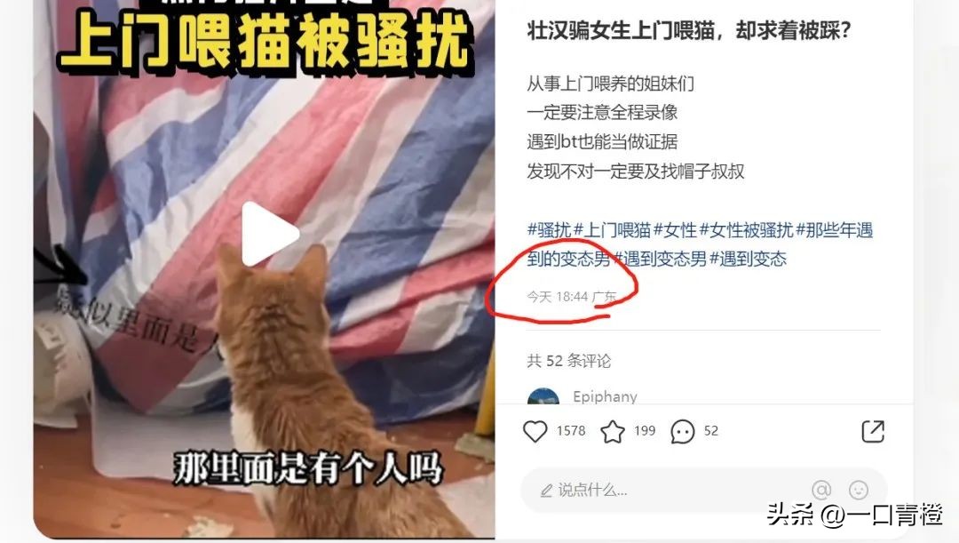 四川女子上门喂猫,女子兼职喂猫遇骚扰