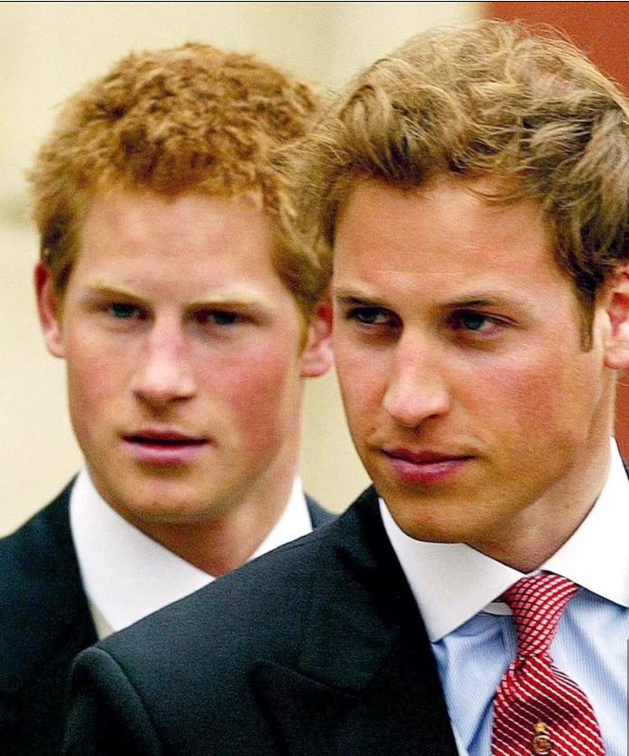 哈里王子为何恨卡米拉,哈里王子抨击卡米拉