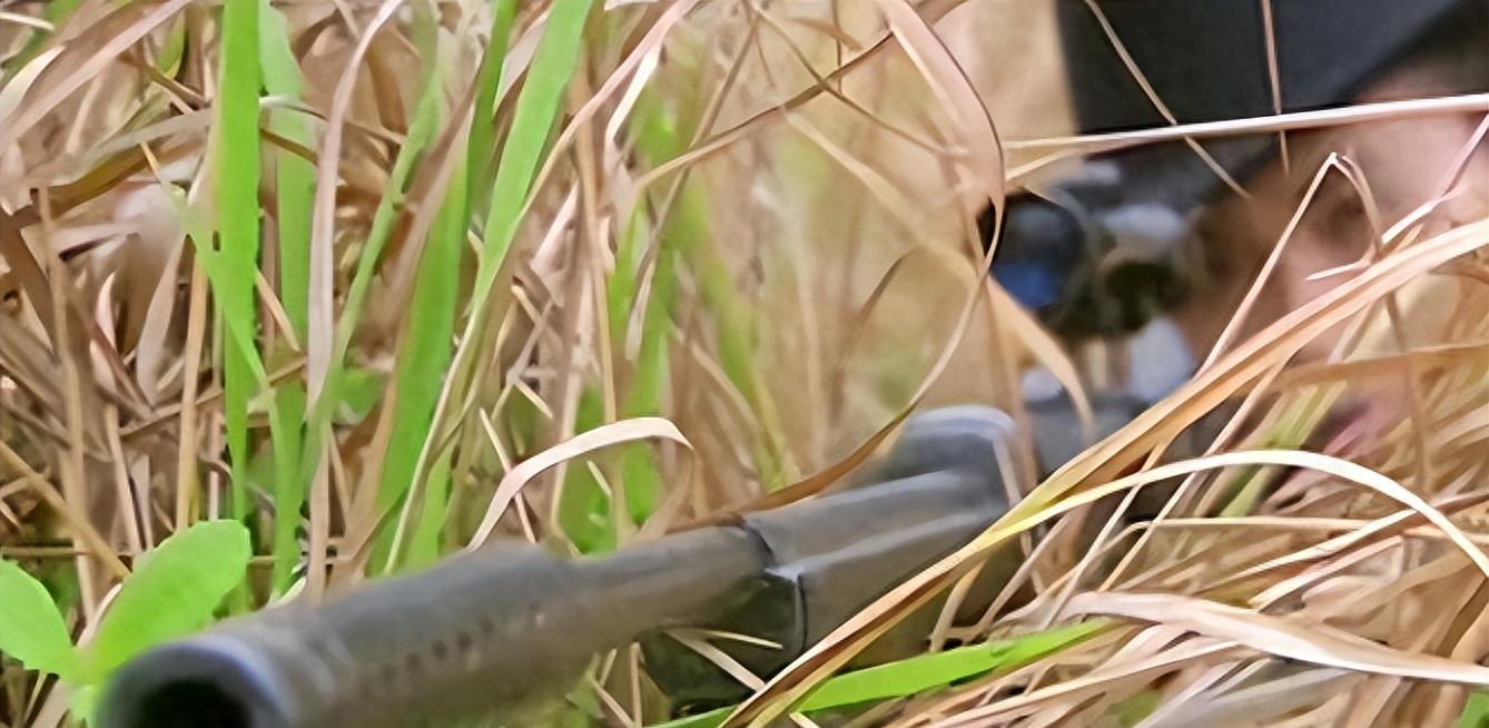 胸罩*点露**，花式泳衣，这些辣眼睛的操作，导演肚子里没一点墨水吗