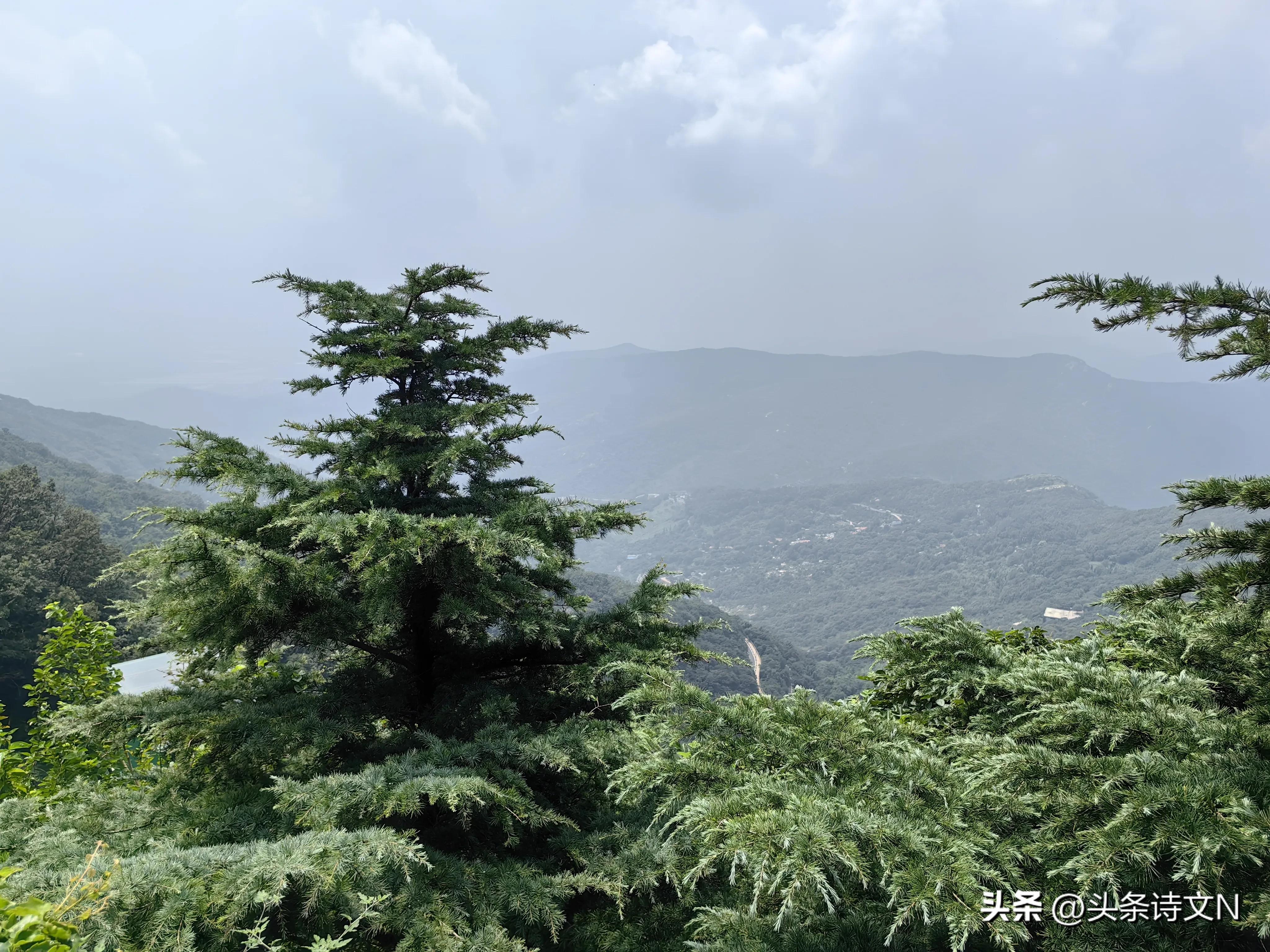 花果山景区值得去吗,盘点网友吐槽坑爹5a景区