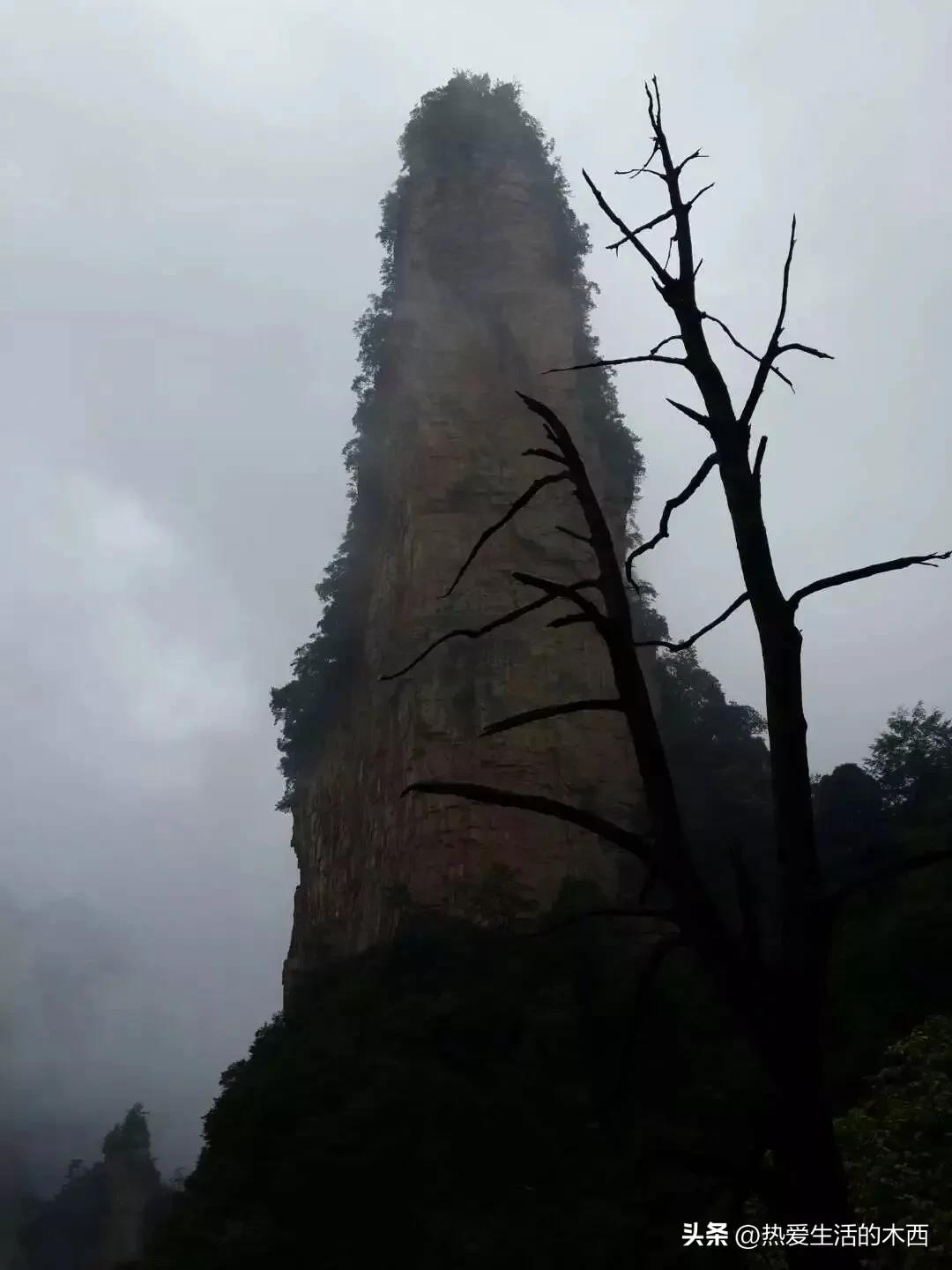 湖南张家界凤凰古城之旅,湖南省凤凰古城张家界自由行上篇
