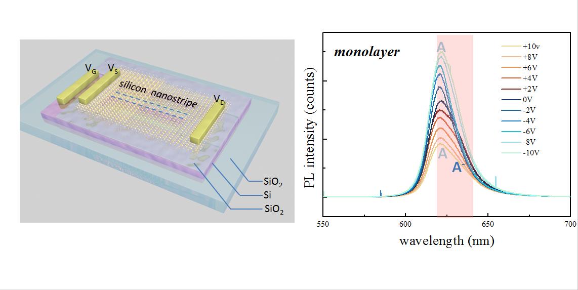 电解质还原在负极处析出SEI，为何会加速锂电池电极表面层的形成