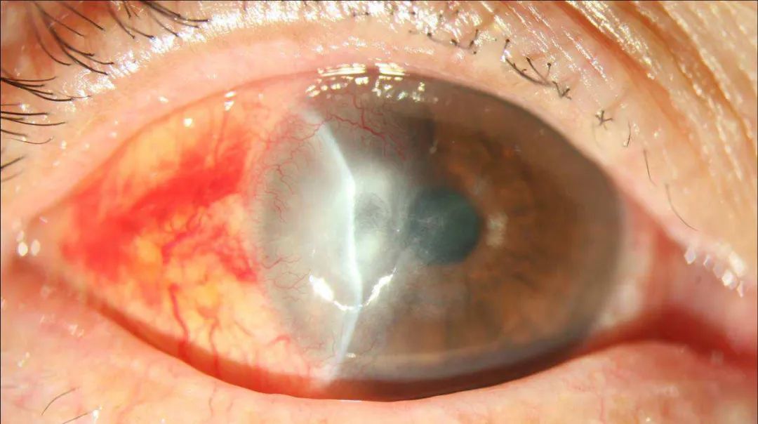 又一顶流被粉丝拉下神坛,又一正能量网红被央视痛批