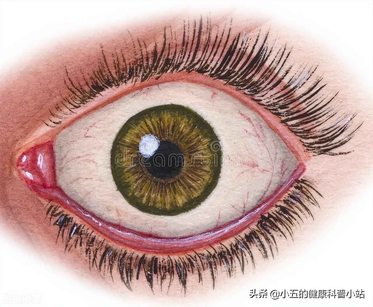 老年人视力退化应该吃什么维生素,老年人视力不好吃什么能提高视力