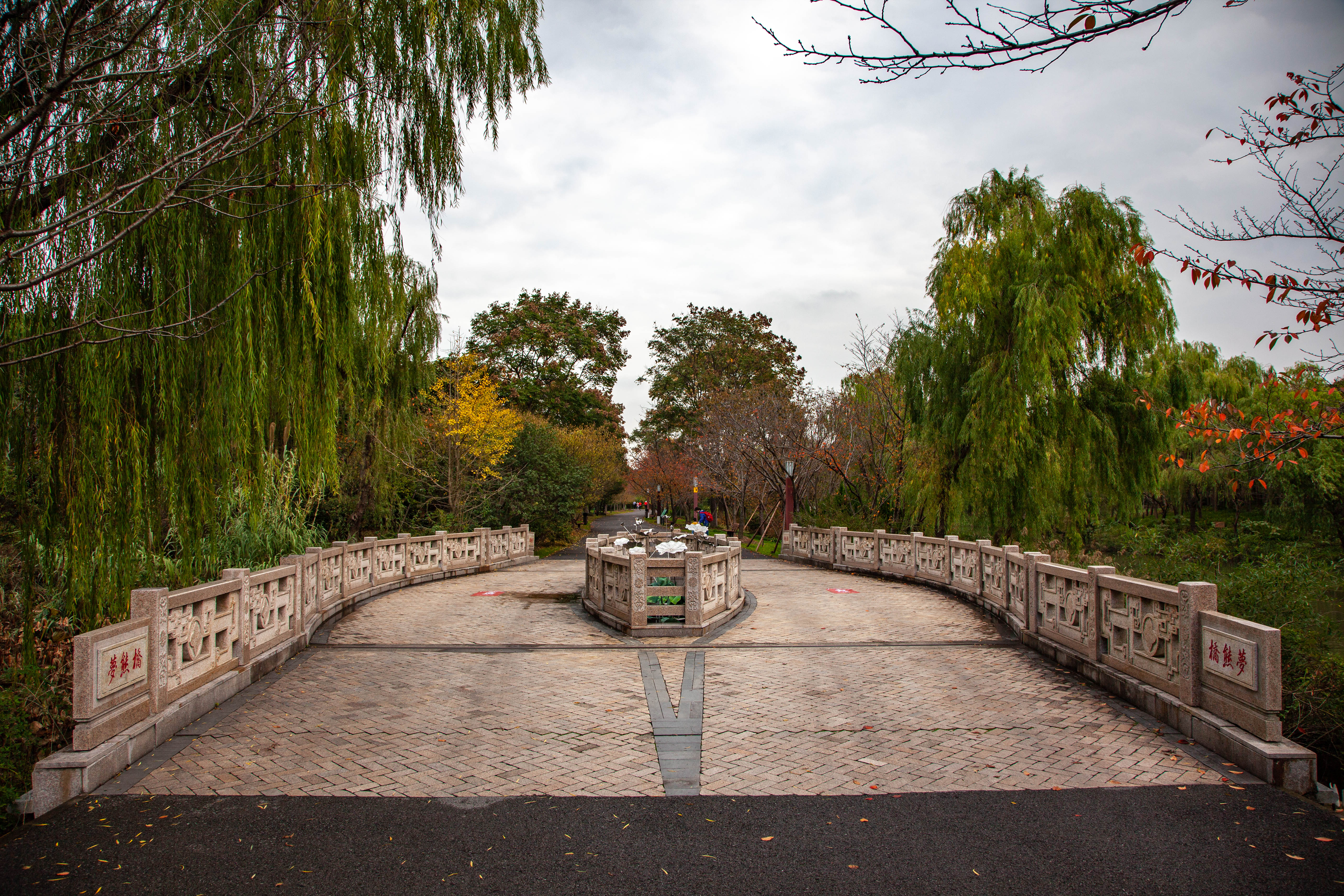 宝山顾村历史,上海宝山顾村老街