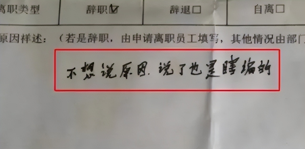 最近火了最硬核的辞职信,00后辞职信火了快乐才是最重要的