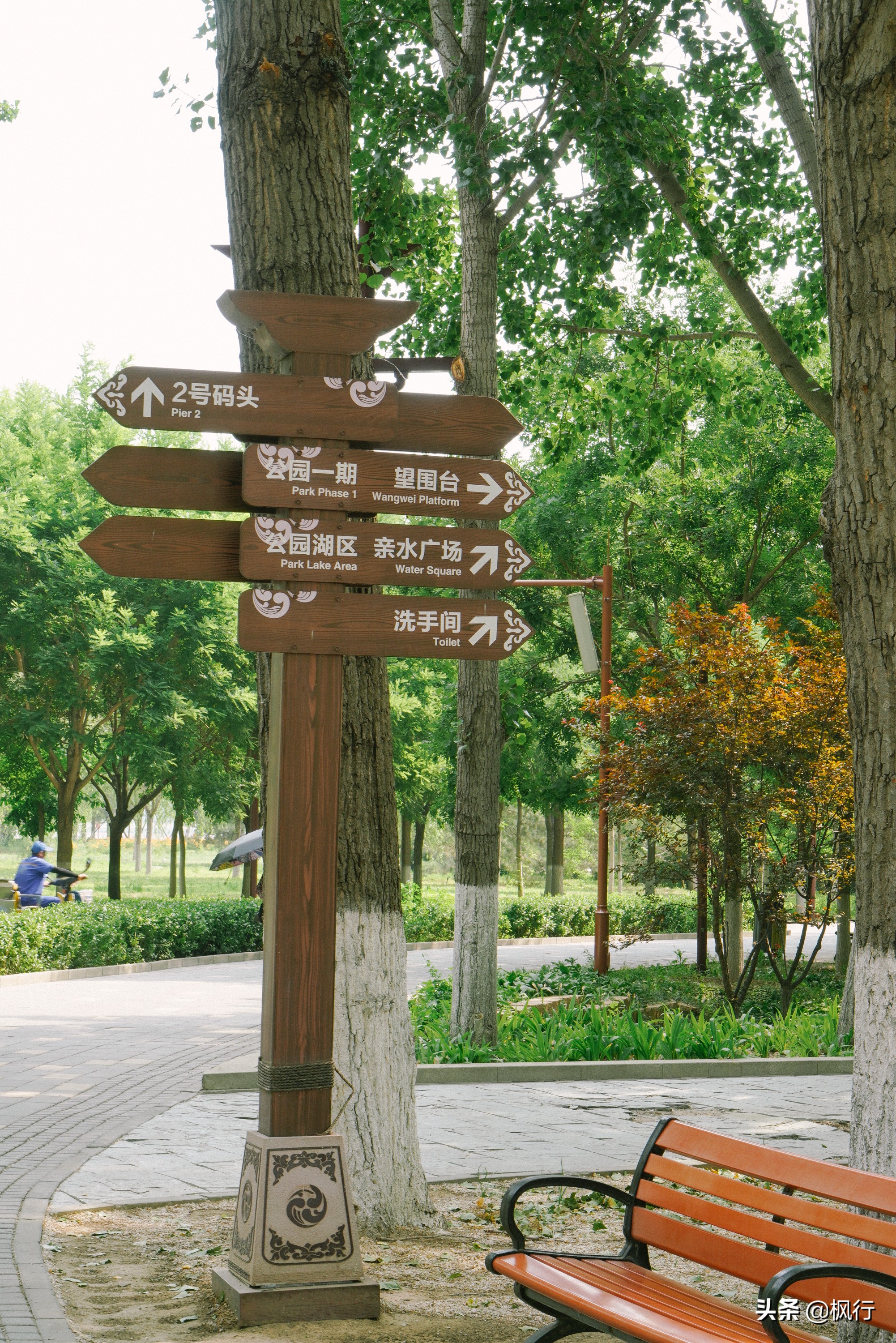 南海公园奈良小麋鹿,奈良小鹿公园麋鹿