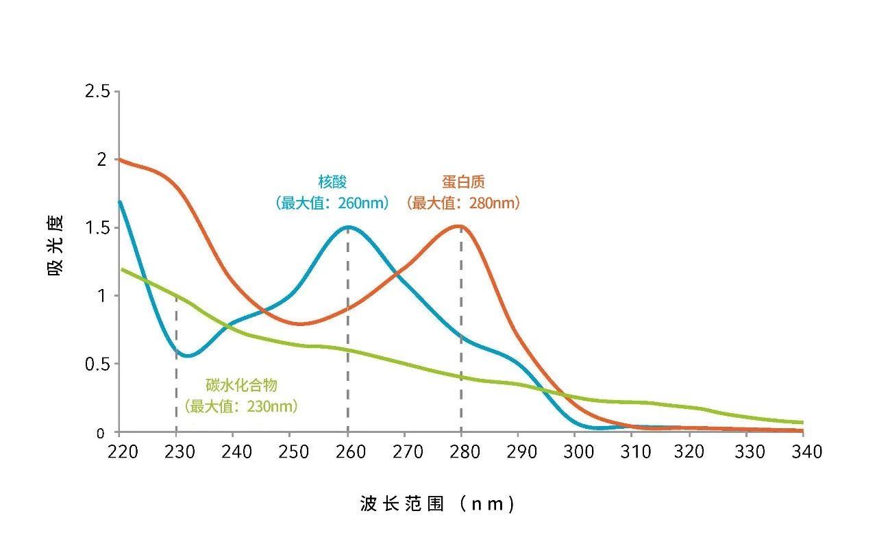 你不知道的230、260、280