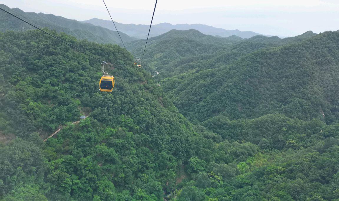 重渡沟音乐完整版,重渡沟菩提树