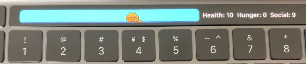 新宠物换装游戏,好玩的宠物换装游戏